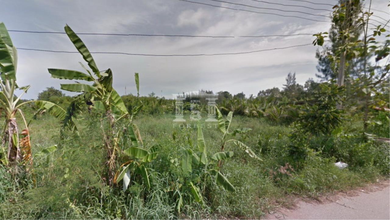 40119 Land for sale in Rama 2 Amphawa Samut Songkhram only 300 m from, ภาพที่ 4