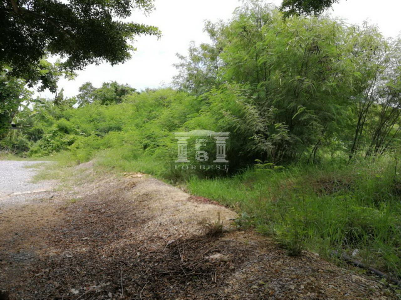 40193 Land for sale near Central Salaya Plot size 14 rai suitable to build a warehouse Housing project, ภาพที่ 3