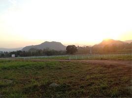 ขาย ที่ดิน ตำบลหมูสี อำเภอปากช่อง จังหวัดนครราชสีมา