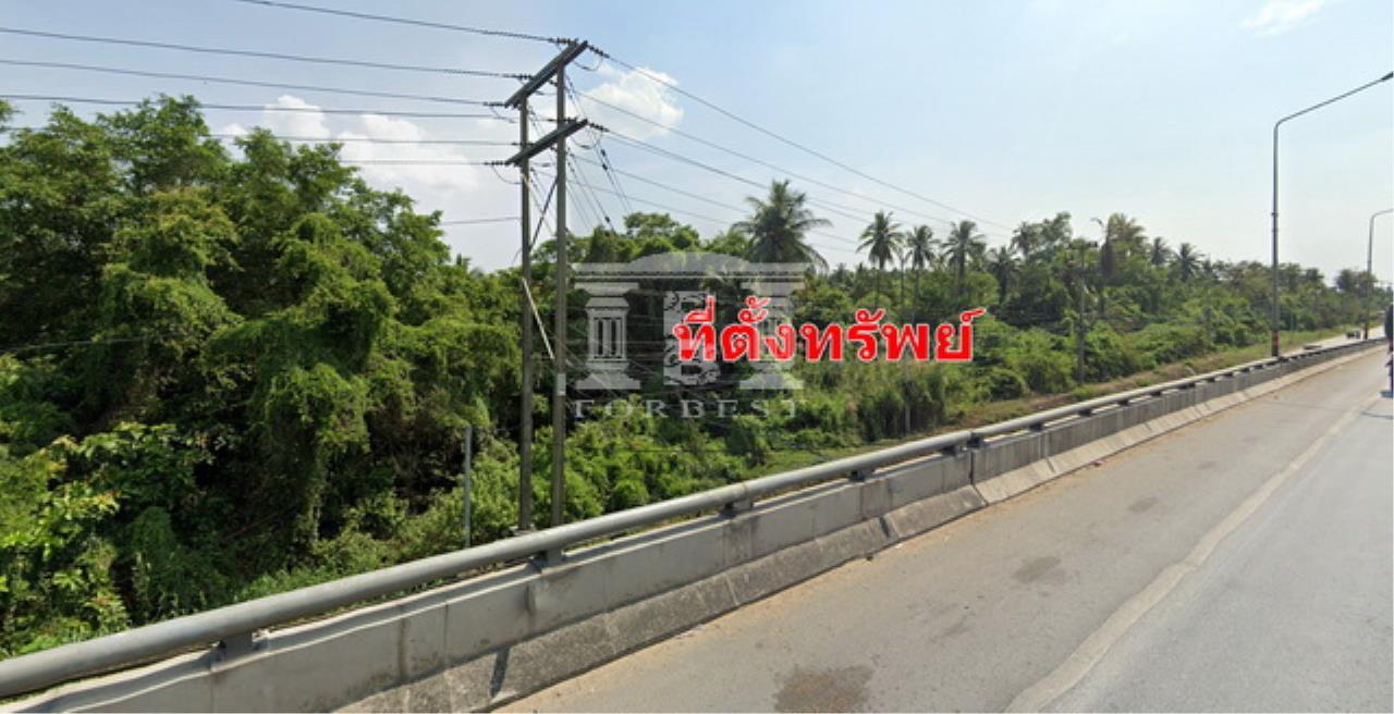 40265 Land for sale on Borommaratchachonnani Samphran Nakhon Pathom rai, ภาพที่ 4