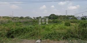 40270 Land for sale behind Big C Sai Noi Plot size 19-2-2730 rai