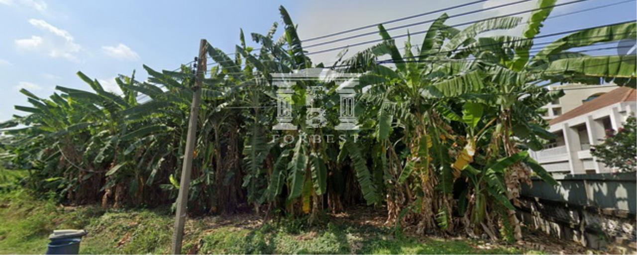 40544 - Soi Mayalap Ramindra 14 Land for sale Plot size 2804 Sqm, ภาพที่ 4