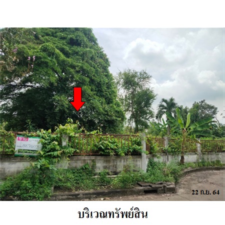 ขาย ที่ดิน แขวงลำผักชี เขตหนองจอก กรุงเทพมหานคร, ภาพที่ 4