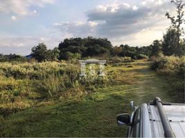 90046 - Sansai-Maejo Land for sale area 36 acres