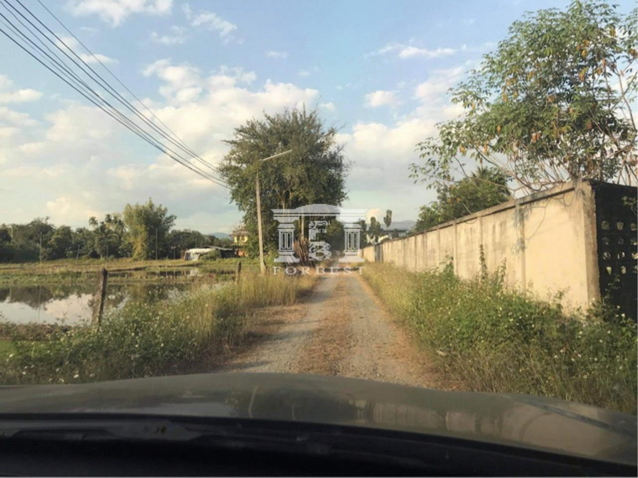 90046 - Sansai-Maejo Land for sale area 36 acres, ภาพที่ 4