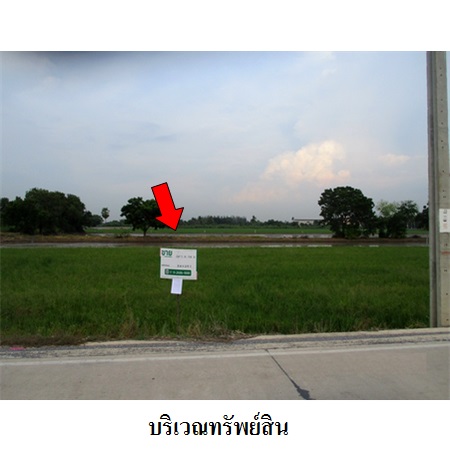 ขาย ที่ดิน ตำบลคลองข่อย อำเภอปากเกร็ด จังหวัดนนทบุรี, ภาพที่ 4
