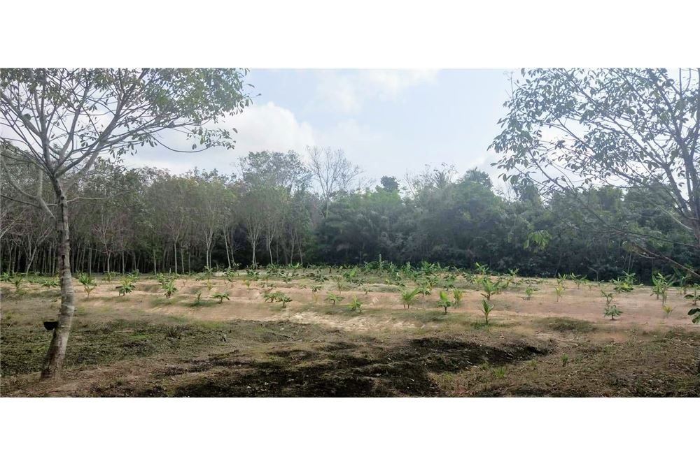 This 2 Rai plot is located in Ao Nang soi 1 road and have 2 access road  From Ao Nang soi 1 and Sai Thai-Ao Nam Mao road, ภาพที่ 2