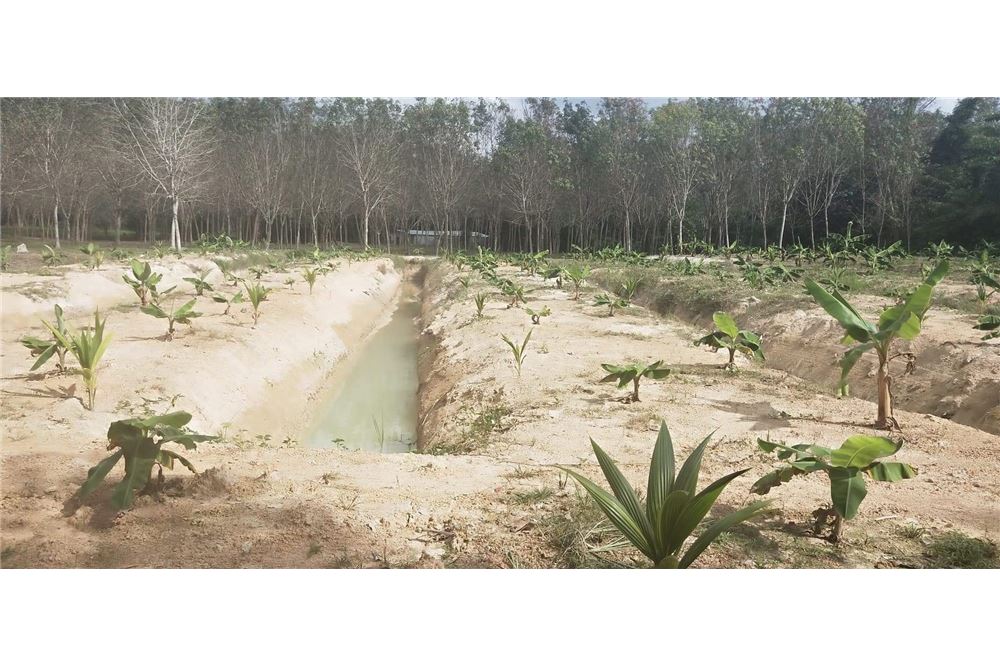 This 2 Rai plot is located in Ao Nang soi 1 road and have 2 access road, ภาพที่ 4