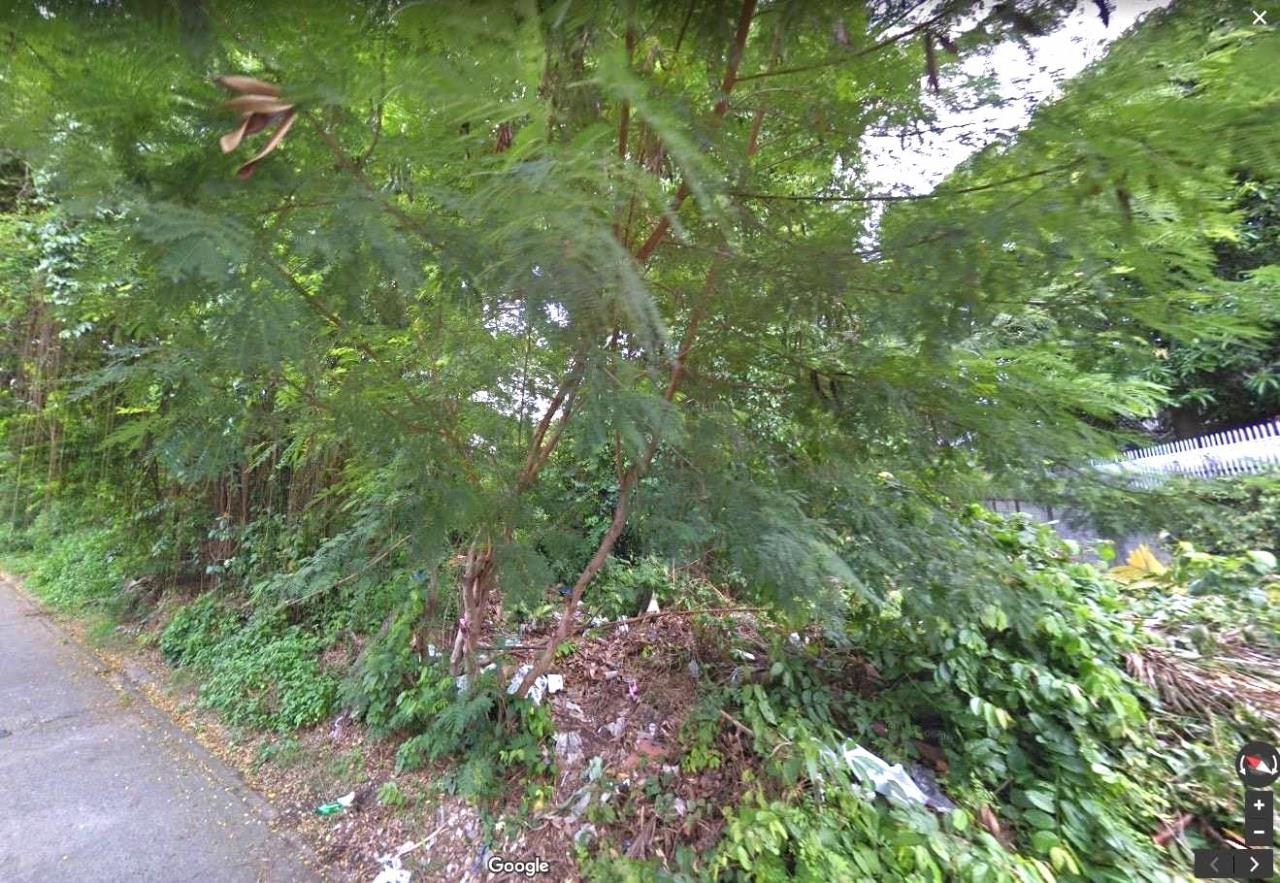 Land for Sale THB 78880000-, ภาพที่ 4