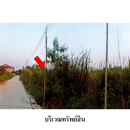 ขาย ที่ดิน ตำบลบ้านใหม่ อำเภอบางใหญ่ จังหวัดนนทบุรี, ภาพที่ 4