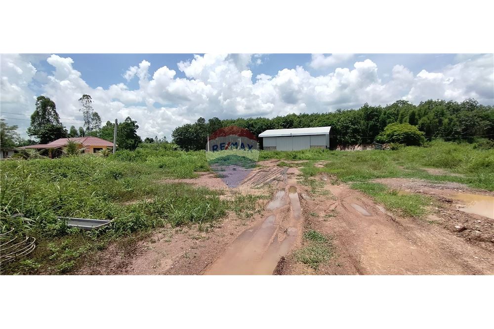 Land 1-3-29 rai with warehouse Adjacent to a 4-lane road Route 1021 Thoeng-Chiang Kham, ภาพที่ 5