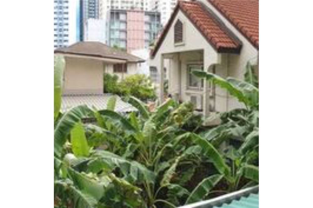 Single House For Sale Ekkamai Land For Sale Ekkamai Sukhumvit 61 BTS, ภาพที่ 4