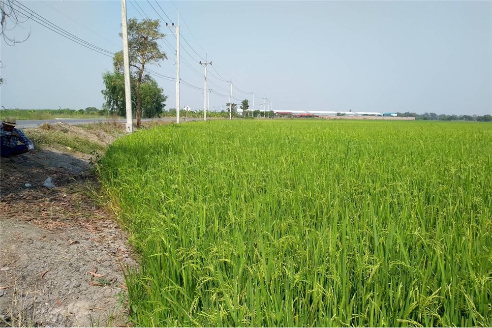 Land For Sale Amphoe Sam Khok   Near Rajchasi Shooting Range  Rajchasi , ภาพที่ 4