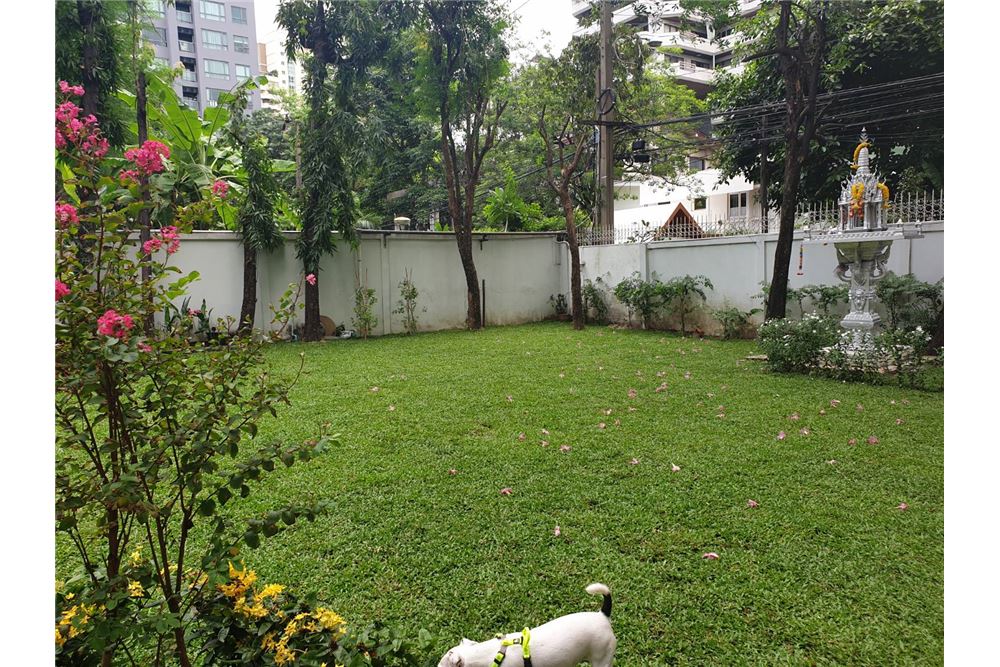 Only 500 m walk to prompong huge garden private pool 4 bed +1 study big, ภาพที่ 4