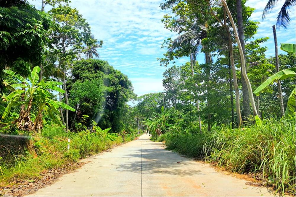 Land for Sale in Lipa Noi for Cheap price