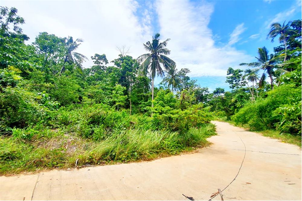 Land for Sale in Lipa Noi for Cheap price, ภาพที่ 4