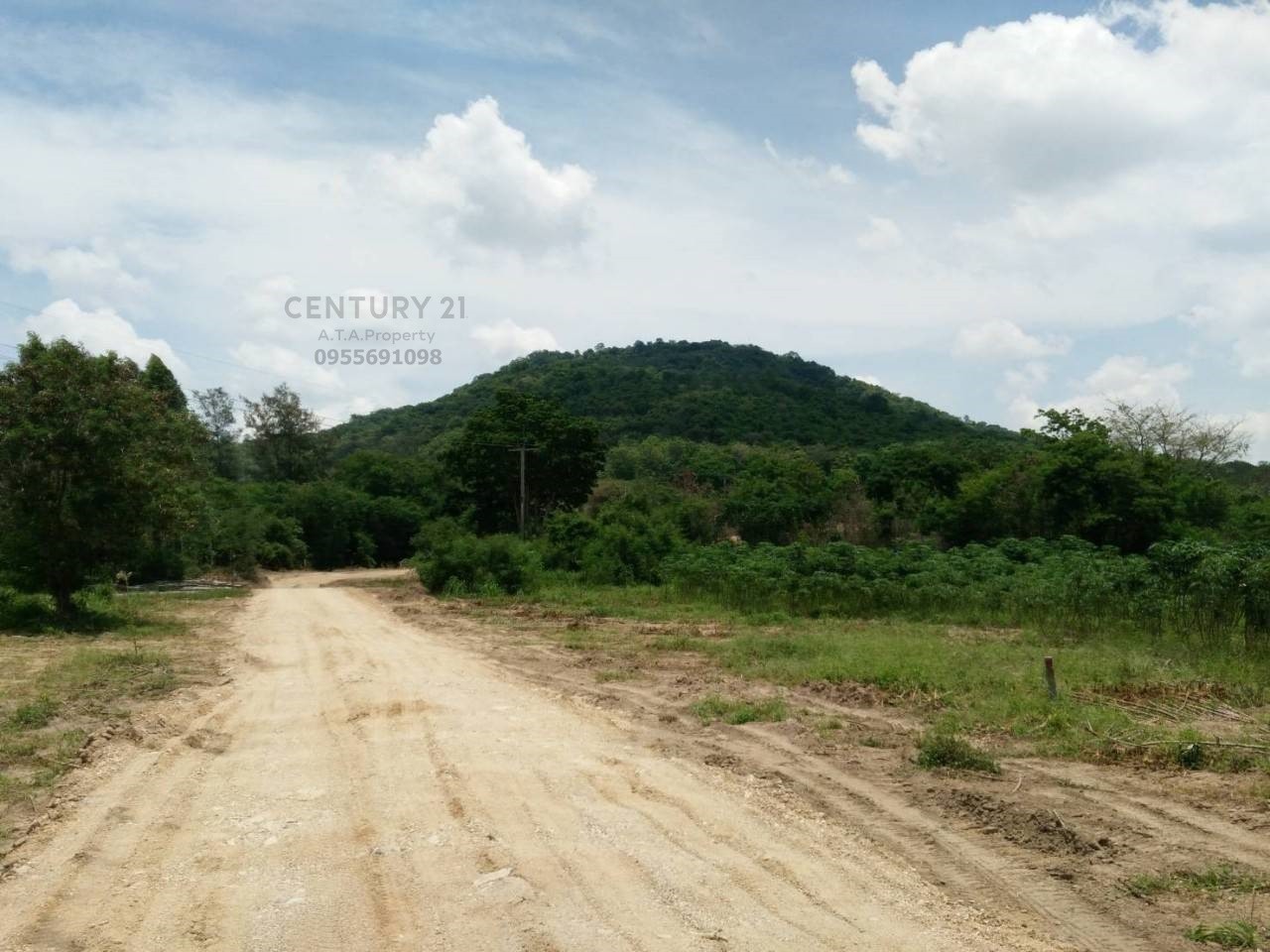 ขาย ที่ดิน ย่าน Nong - Kham, ภาพที่ 4