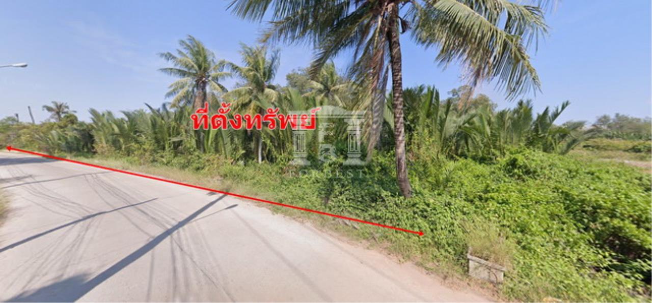 90079 - Rama 2 Samut Sakhon Land for sale area 79 acres, ภาพที่ 4