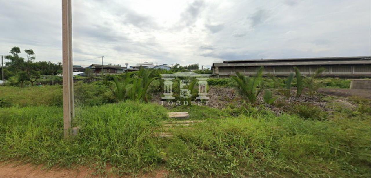 40970 - Suksawat Road Land for sale plot size 1892 Sqm, ภาพที่ 4