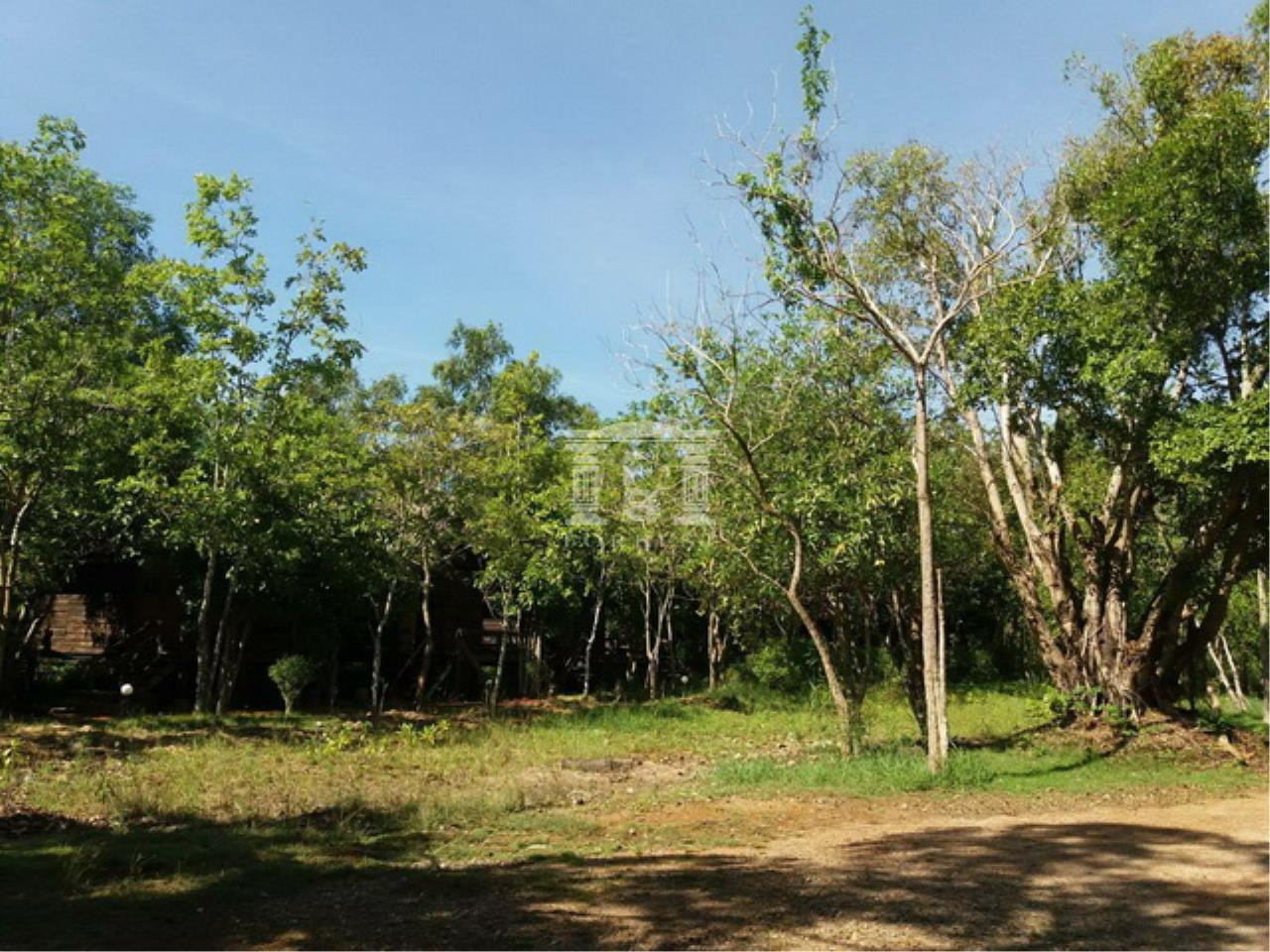 90082 - Samut Songkhram Land for sale plot size 24 acres, ภาพที่ 4