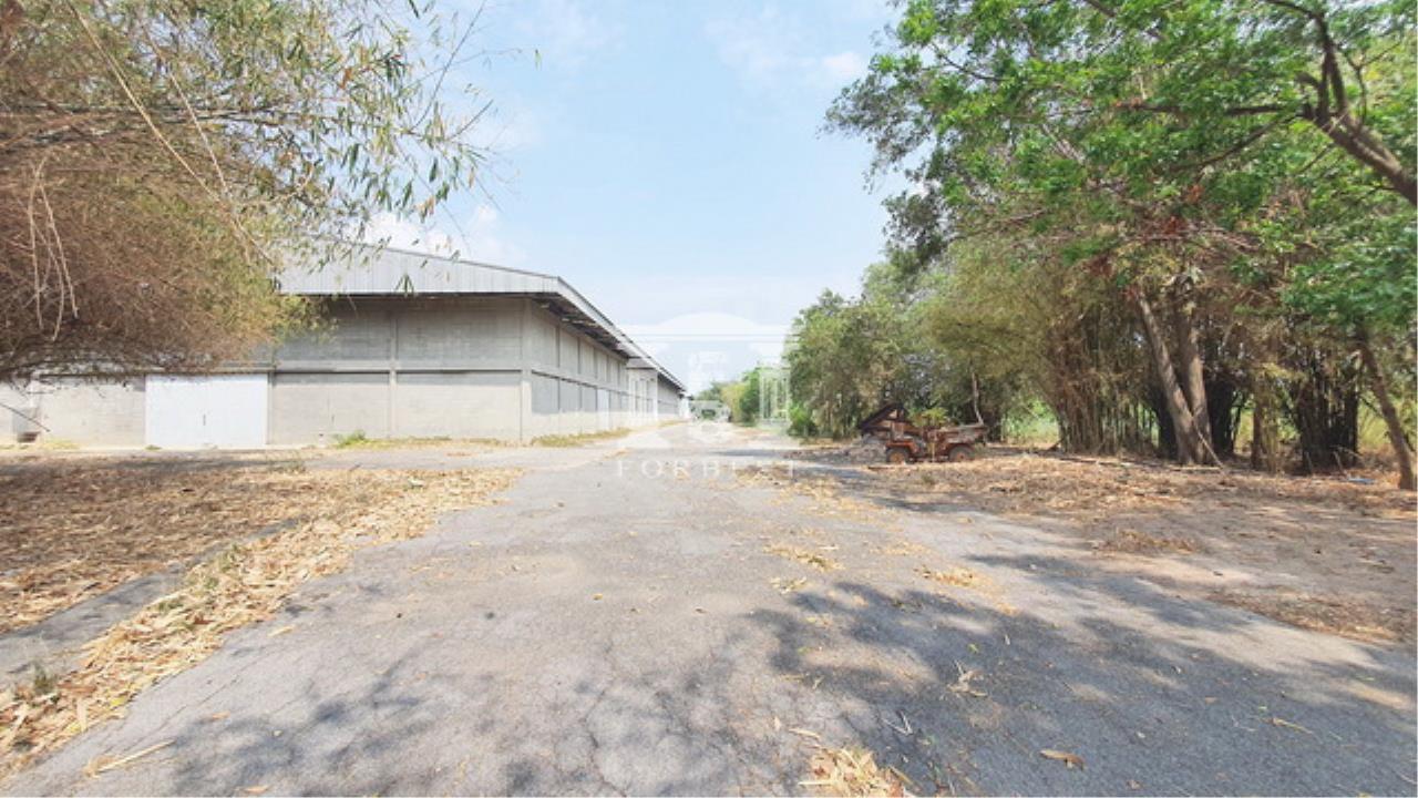 40816 - Land for sale plus warehouse area 7842 sqm next to the Chao Pak, ภาพที่ 4