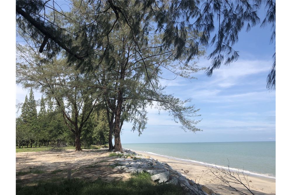 Beachfront Land in Up Coming Area in Tha Sala, ภาพที่ 4