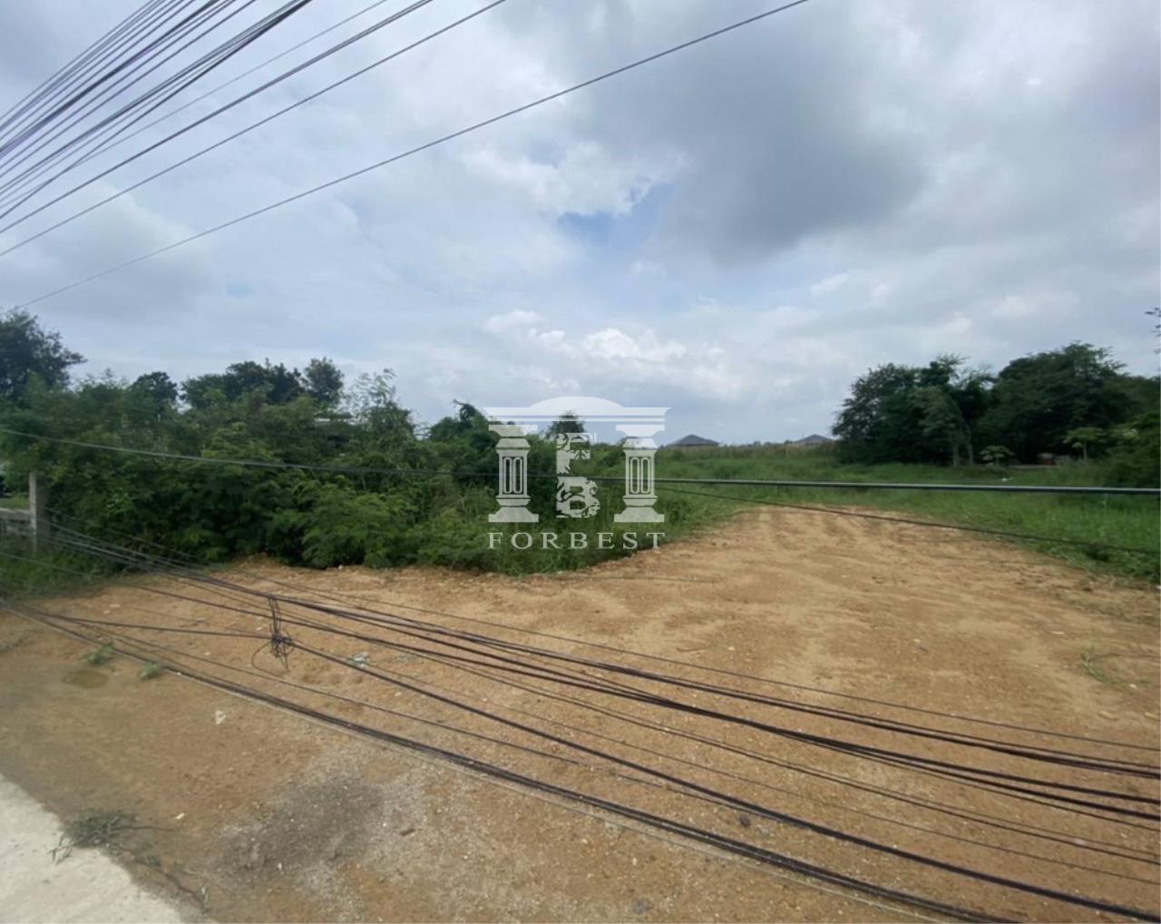 90216 - Srinakarin Land for sale area 1764 Sqm, ภาพที่ 4