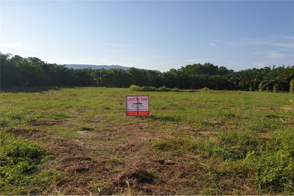 Land for sale ขายที่ดินเปล่า, ภาพที่ 4