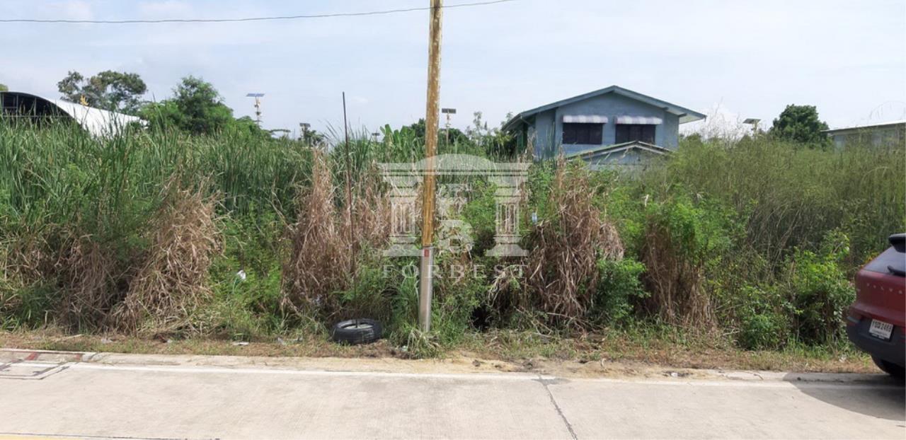 41356 - King Kaew 64 Lat Krabang Land for sale Plot size 800 Sqm, ภาพที่ 4