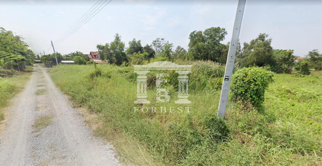 90310 - Land for sale Plot size 2 rai Mitmaitri Nong Chok near Village, ภาพที่ 4
