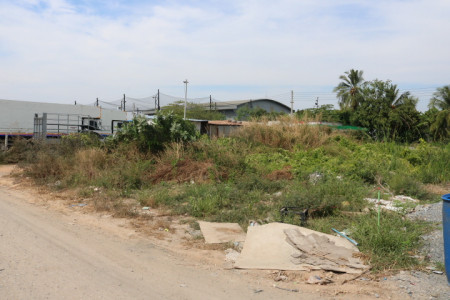 ขาย ที่ดิน ที่ดินเปล่า ถนนเลียบคลองลำกอไผ่(ฉลองกรุง49) แขวงลำปลาทิว 1, ภาพที่ 4