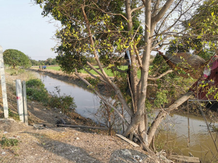 ขาย ที่ดิน เหมาะทำหมู่บ้าน คอนโด และ ที่พักอาศัย ซ.วัดลาดปลาดุก 62 ไร่, ภาพที่ 4