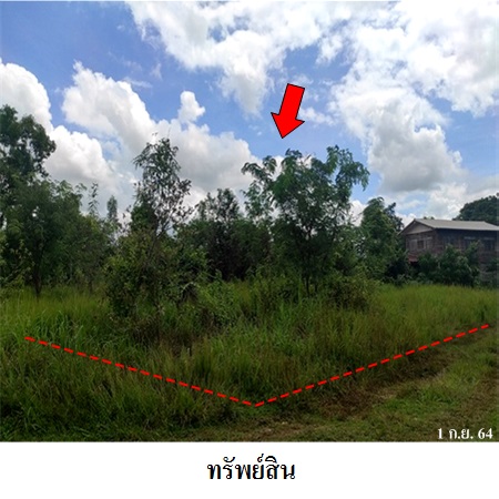 ขาย ที่ดิน ตำบลบ้านทุ่ม อำเภอเมืองขอนแก่น จังหวัดขอนแก่น, ภาพที่ 4
