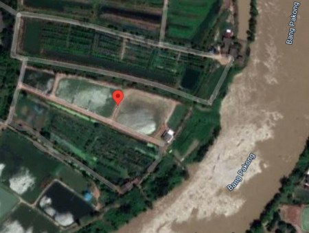 ขายที่บ่อติดแม่น้ำบางปะกง 11 ไร่ แถมที่งอก 3 ไร่ ใกล้โรงเรียนบ้านพลับ บางคล้า - 400 เมตร จ.ฉะเชิงเทรา
