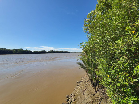 ขายที่ดินติดแม่น้ำบางปะกง 17 ไร่ ในบางปะกง ริเวอร์ไซค์ - 3 กม. แสนภูดาษ, ภาพที่ 4