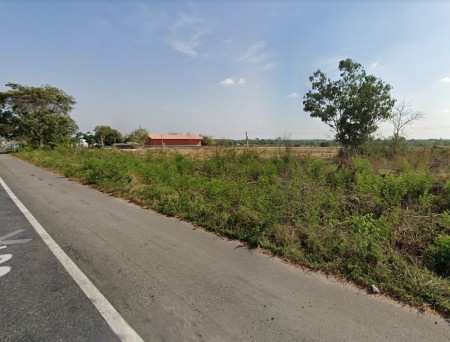 ขายที่ดินหนองเหียง 34 ไร่ ติดถนนเส้น 331 พนัสนิคม ชลบุรี, ภาพที่ 4