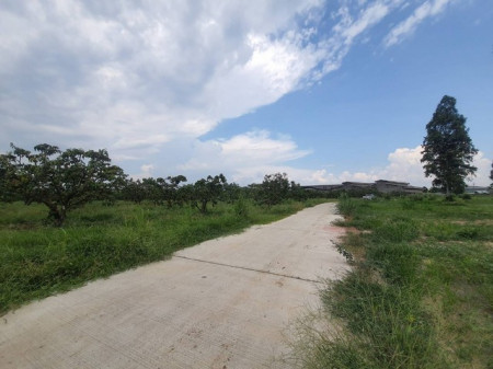 ขายที่ดินบ่อทอง 21 ไร่ ราคาถูก ติดถนนเส้นสัตหีบ-พนมสารคาม(331) ชลบุรี, ภาพที่ 4