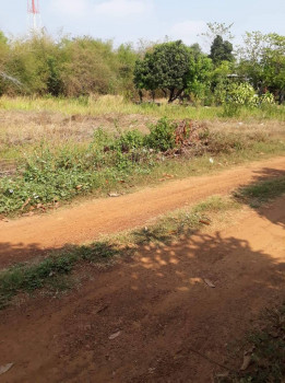 ขายที่ดินบ่อทอง 1 ไร่ ใกล้ถนนสุวรรณศร 33 - 400 เมตร กบินทร์บุรี, ภาพที่ 4