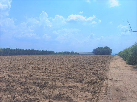ขาย ที่ดิน ME034 ราคาถูก ถนนกว้าง 8 m เกษตรสุวรรณ บ่อทอง ชลบุรี ขนาด 31, ภาพที่ 4