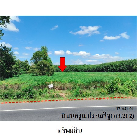 ขาย ที่ดิน ตำบลหนองคู อำเภอเมืองยโสธร จังหวัดยโสธร, ภาพที่ 4