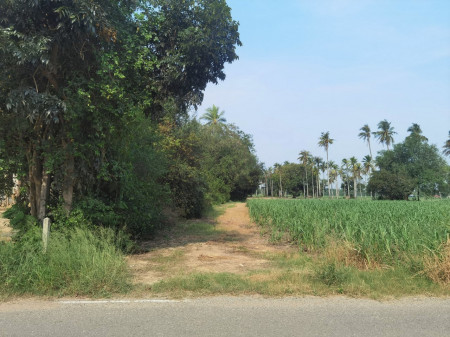 ขาย ที่ดิน แปลงใหญ่ ถูก ลดแรง ME152 หนองชัน หนองอิรุณ บ้านบึง ชลบุรี ., ภาพที่ 4
