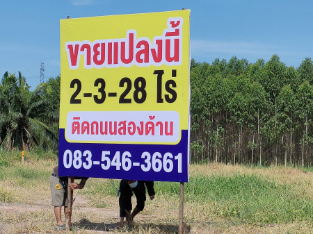 ขายที่ดิน หนองชาก บ้านบึง ชลบุรี ใกล้นิคมอุตสาหกรรมแห่งใหม่ 1.5 กม., ภาพที่ 4