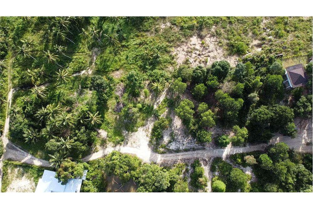 Plots of land from 600sqm in Chalok Baan Kao