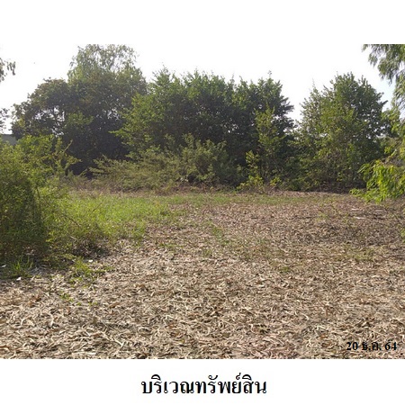 ขาย ที่ดิน ตำบลท่าระหัด อำเภอเมืองสุพรรณบุรี จังหวัดสุพรรณบุรี, ภาพที่ 4