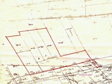 ขาย ที่ดิน สวนปาล์ม เมืองนครศรีธรรมราช 50 ไร่ ปลูกเต็มพื้นที่, ภาพที่ 4