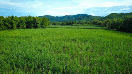 ขาย ที่ดิน เพชรบุรี แปลงสวยโอบล้อมด้วยขุนเขา 360 องศา  ที่ดินอัญมณี 1 2, ภาพที่ 4