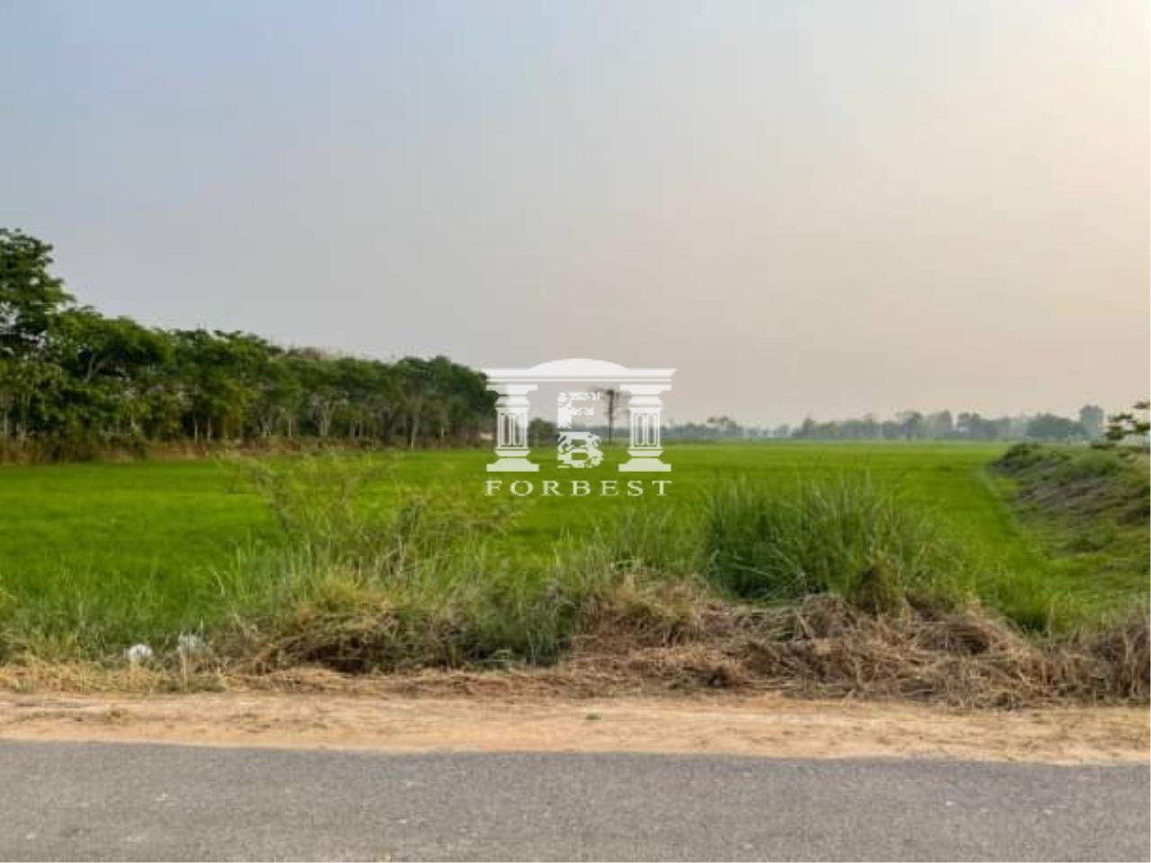 42105 - Chiang Rai Land For Sale 429 Acres Near Mae Fah Luang Airport
