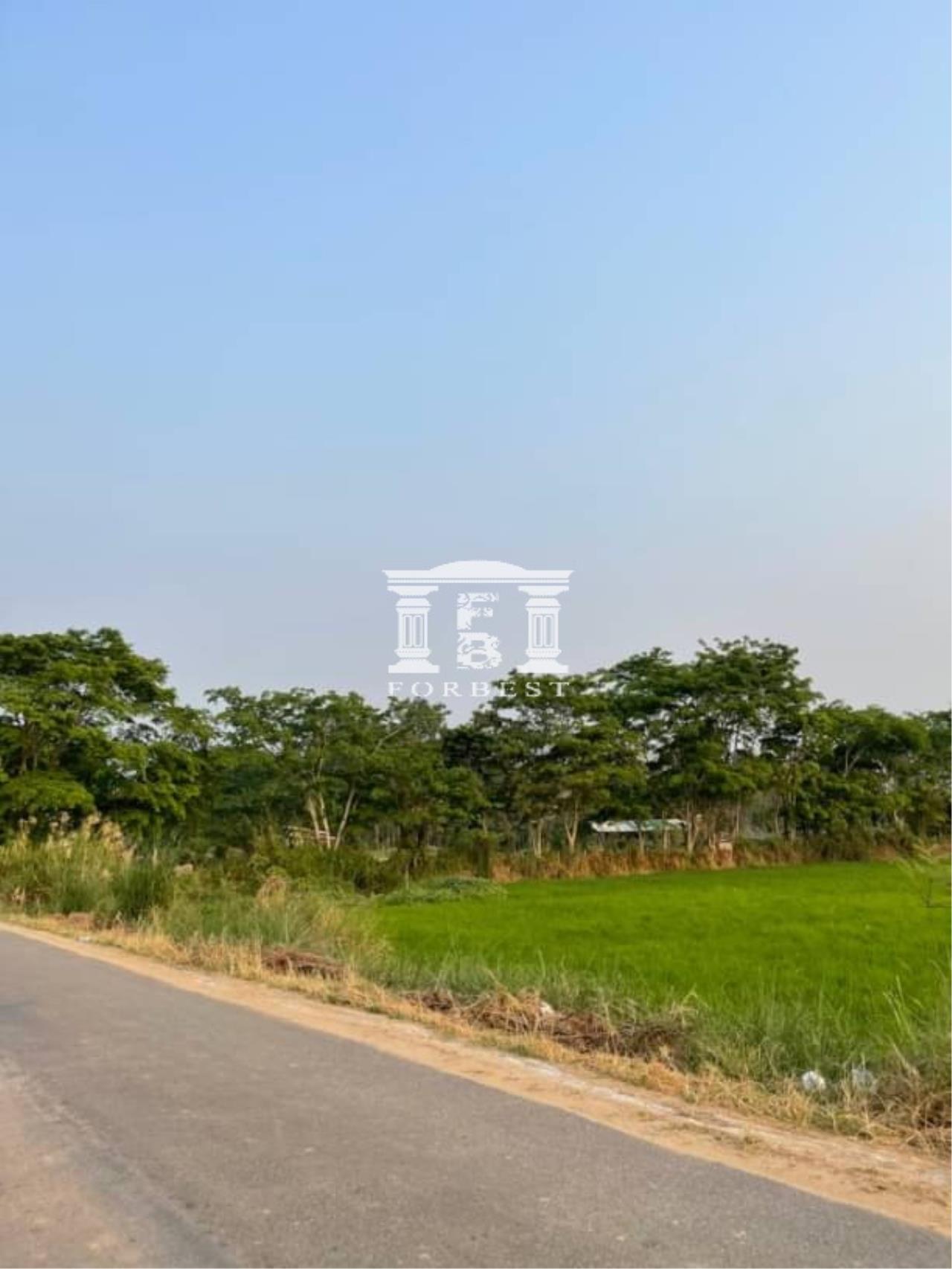 42105 - Chiang Rai Land For Sale 429 Acres Near Mae Fah Luang Airport, ภาพที่ 4