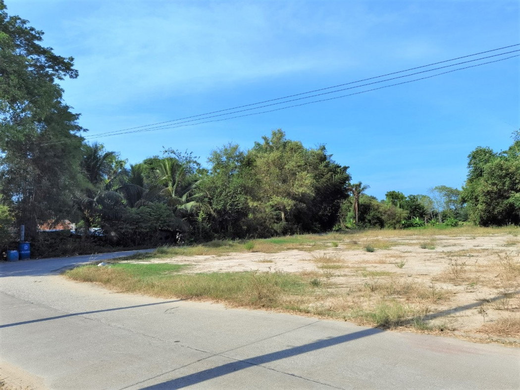 ขาย ที่ดิน ME279 แปลงเล็ก ราคาถูก รูปแปลงสวย หนองบอนแดง บ้านบึง ชลบุรี, ภาพที่ 4