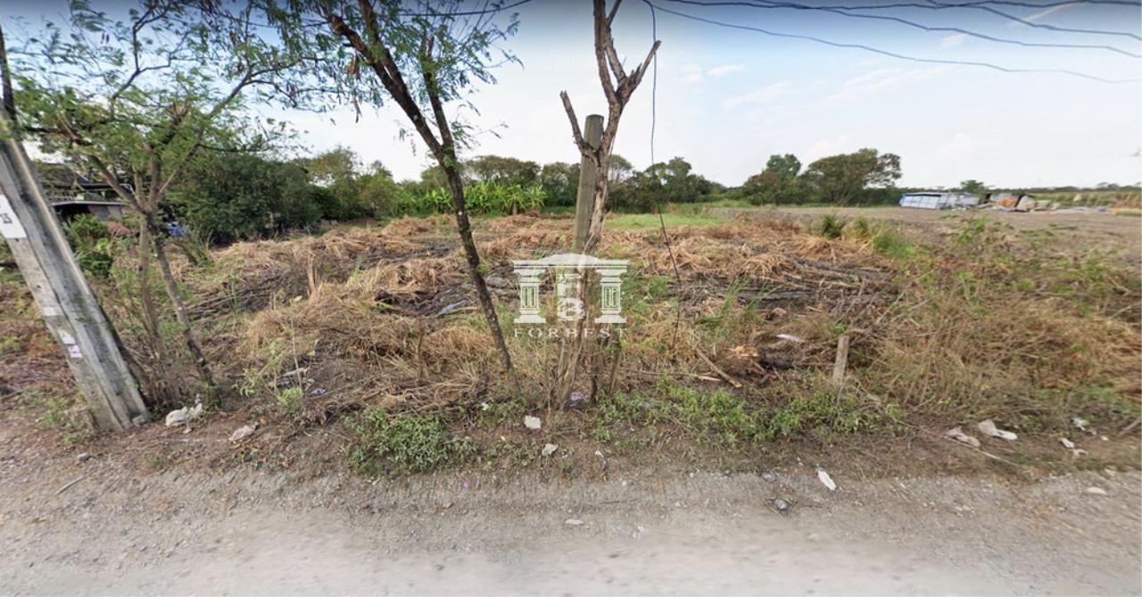 42658 - Land for sale 369 sqw Khum Klao 24 Road near Lat Krabang Estate, ภาพที่ 4